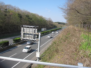 IMG_0400.jpg