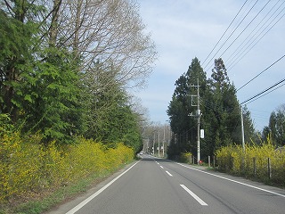 IMG_0414.jpg