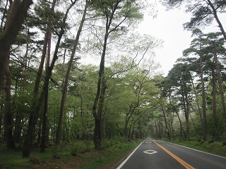 IMG_0455.jpg
