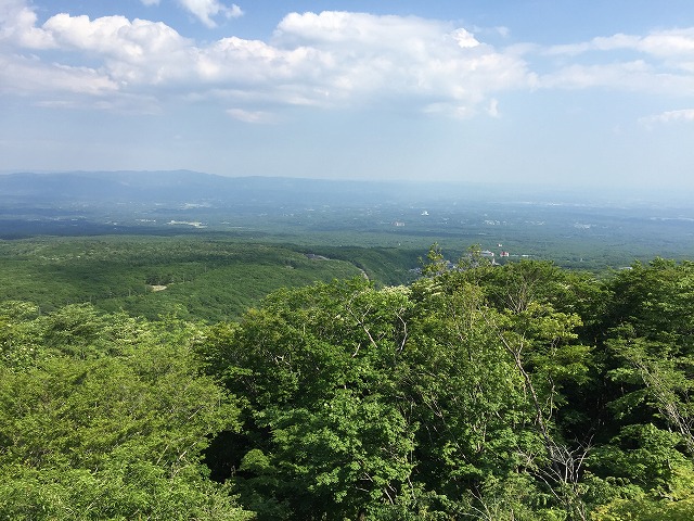 IMG_0461.jpg