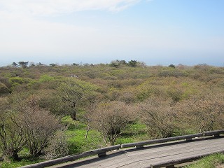 IMG_0467.jpg