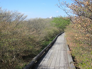 IMG_0470.jpg