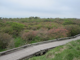 IMG_0473.jpg
