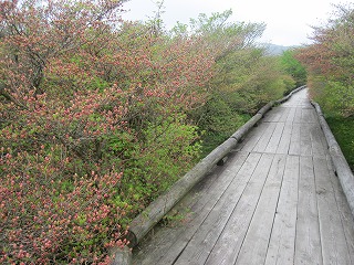 IMG_0475.jpg