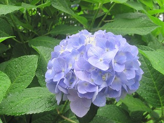 IMG_0709.jpg