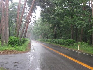 IMG_0710.jpg
