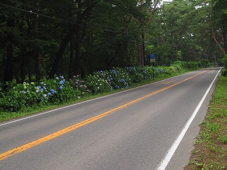 IMG_0783.jpg