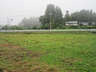 IMG_0850.jpg