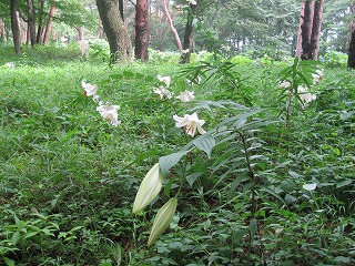 IMG_0876.jpg