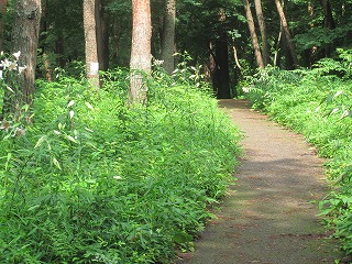 IMG_0877.jpg