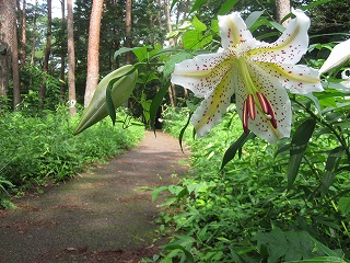 IMG_0878.jpg