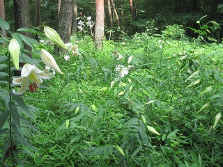 IMG_0879.jpg
