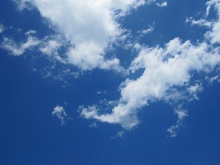 IMG_0906.jpg