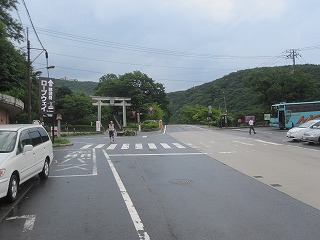 IMG_0907.jpg