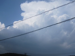 IMG_0936.jpg