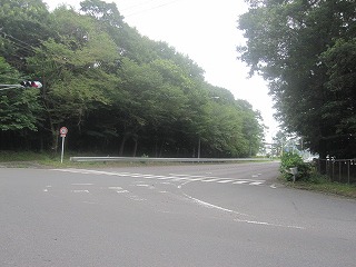 IMG_0979.jpg