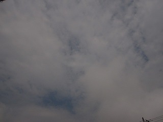 IMG_0987.jpg