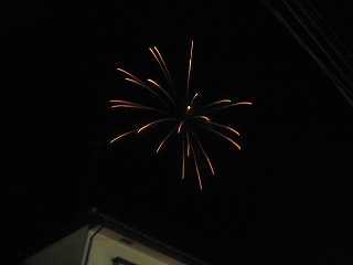 IMG_1012.jpg