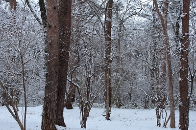 IMG_1023.jpg