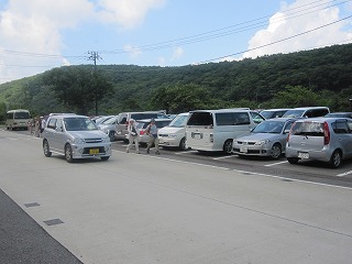 IMG_1026.jpg