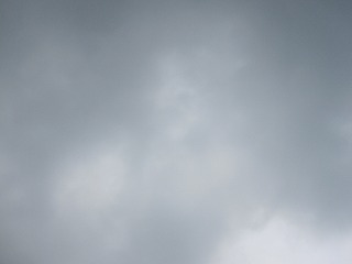 IMG_1036.jpg