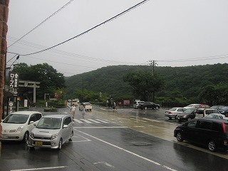 IMG_1041.jpg