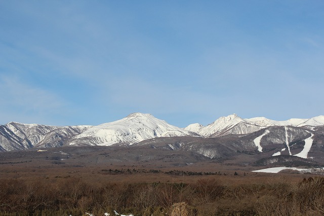 IMG_1265.jpg