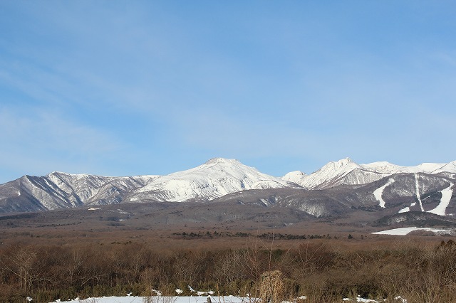 IMG_1266.jpg