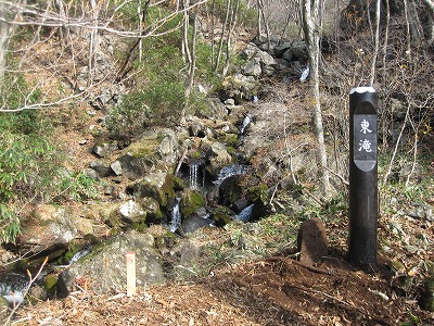 IMG_1455.jpg