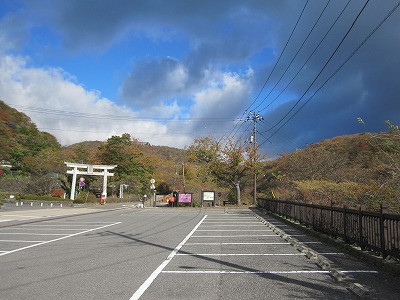 IMG_2935.jpg