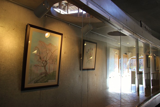 s1238.jpg