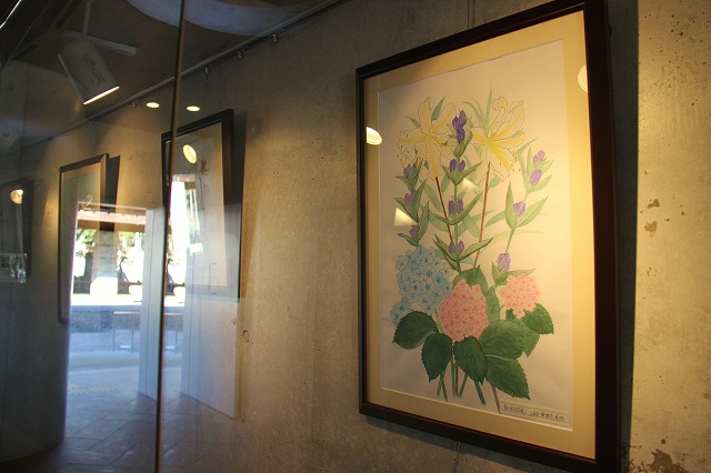 s1240.jpg