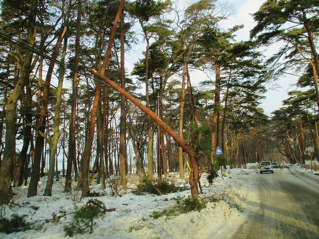s1470.jpg