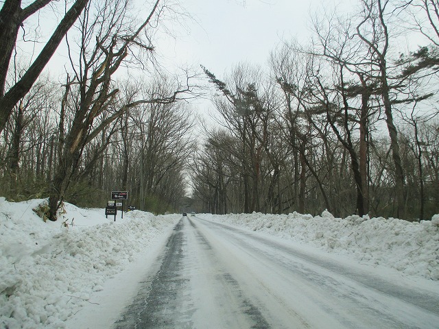 s1473.jpg