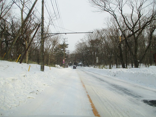 s1475.jpg