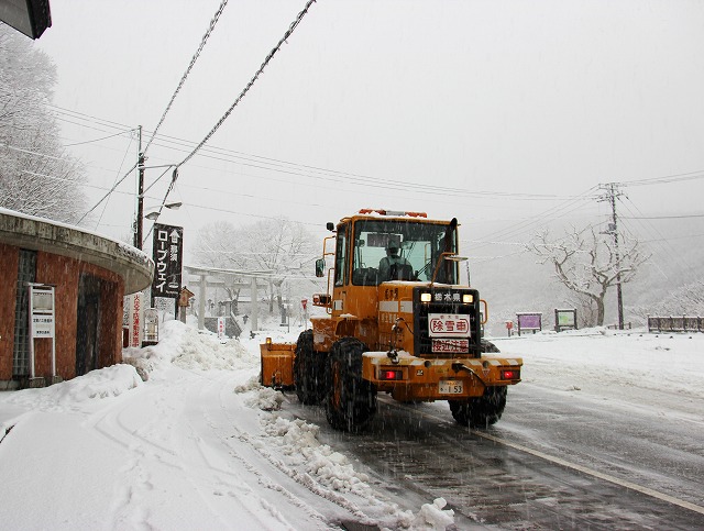s1556.jpg