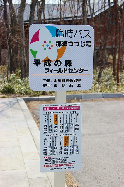s1768.jpg