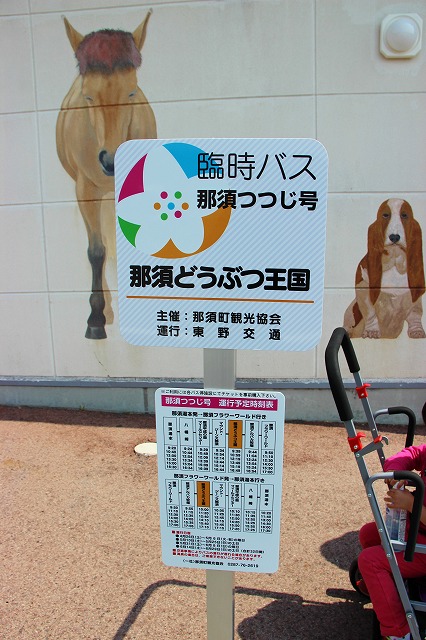 s1770.jpg