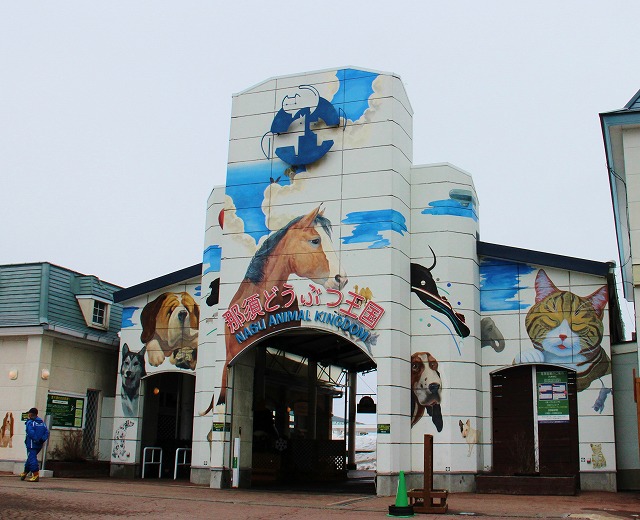 s3248.jpg