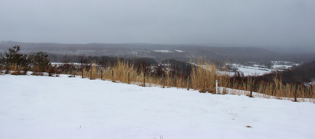 s3256.jpg