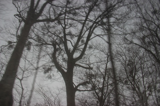 s3260.jpg