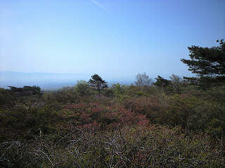 yahata_10_05_18_01.jpg