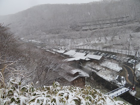 今年！貴重な雪景色～ (さわやか那須だより ～スタッフブログ～)