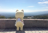 きゅーびー　プロフィール写真2