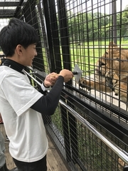 野生動物がこんなに近い！　那須サファリパーク