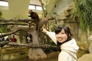 レッサーパンダなどアジアの動物大集合「アジアの森」オープン