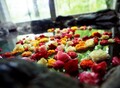 プチホテル晩餐館 ｜ ☆バラ風呂で至福のひとときを…