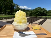 季節限定　信州深層天然水のかき氷！