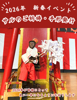 スポットフォト