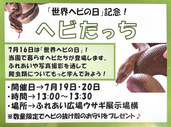 スポットフォト